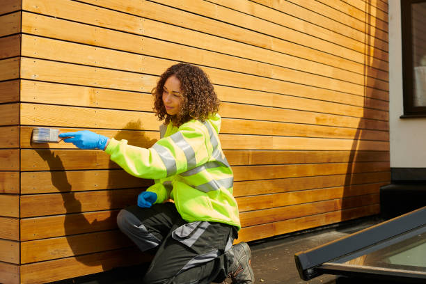 Affordable Siding Repair and Maintenance Services in Fairview, MT