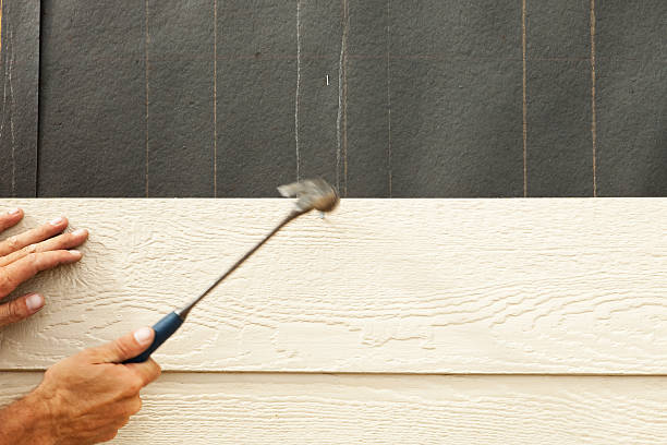 Best Composite Siding  in Fairview, MT